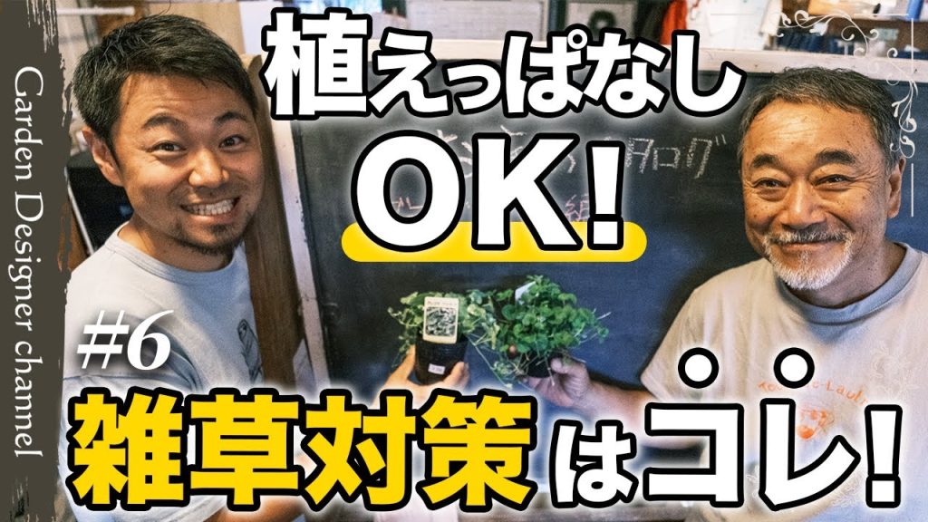 グランドカバーの選び方を解説するお庭のカタログシリーズのサムネイル